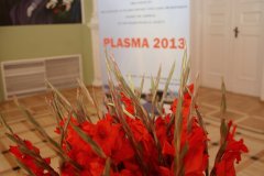 Plasma_2013 (57).JPG